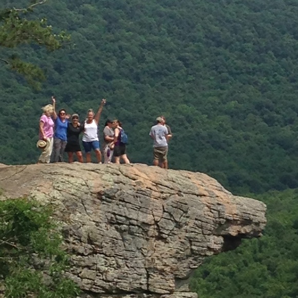 Meet your Posher, Debbie - Picture 4 of 15